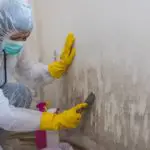 Image of person cleaning mold from wall