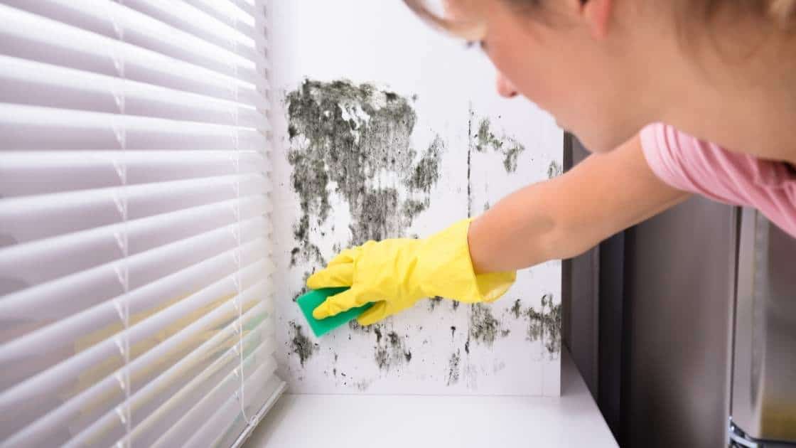 Tenant Relocation Due to Mold [Is it Required?]